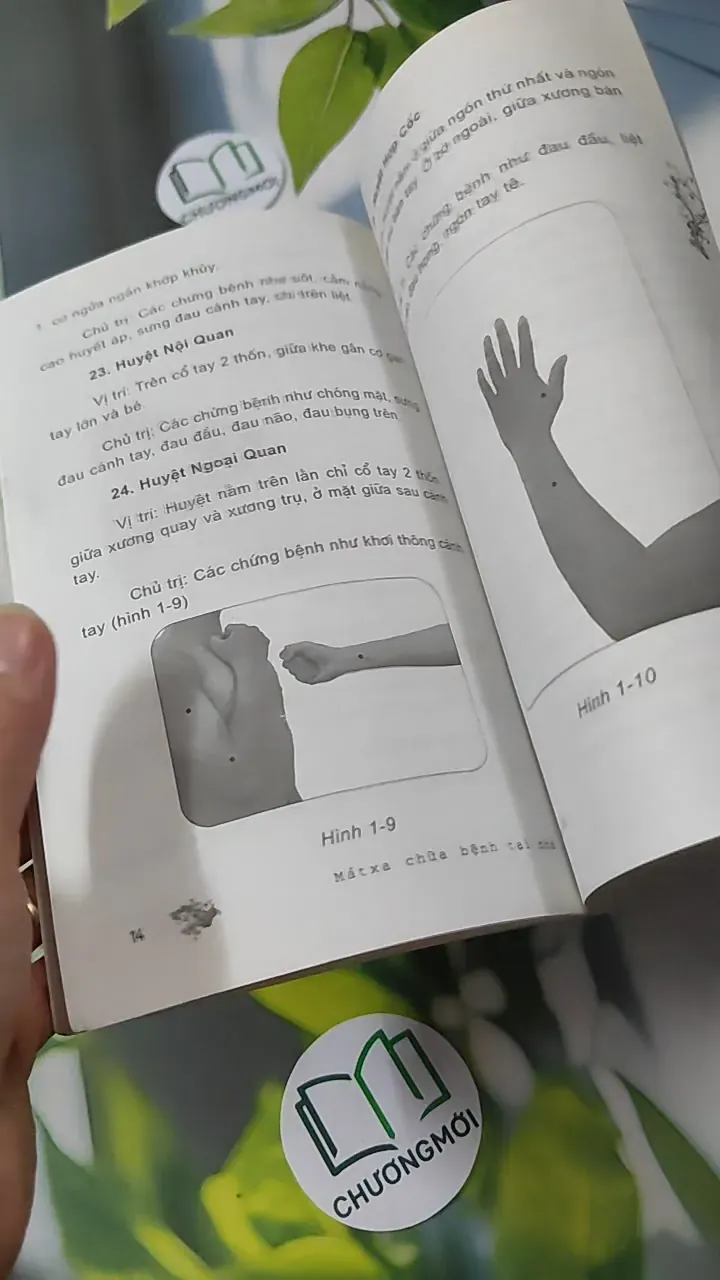 Mát Xa Chữa Bệnh Tại Nhà: Mát Xa Cổ - Thuý Hà 780914