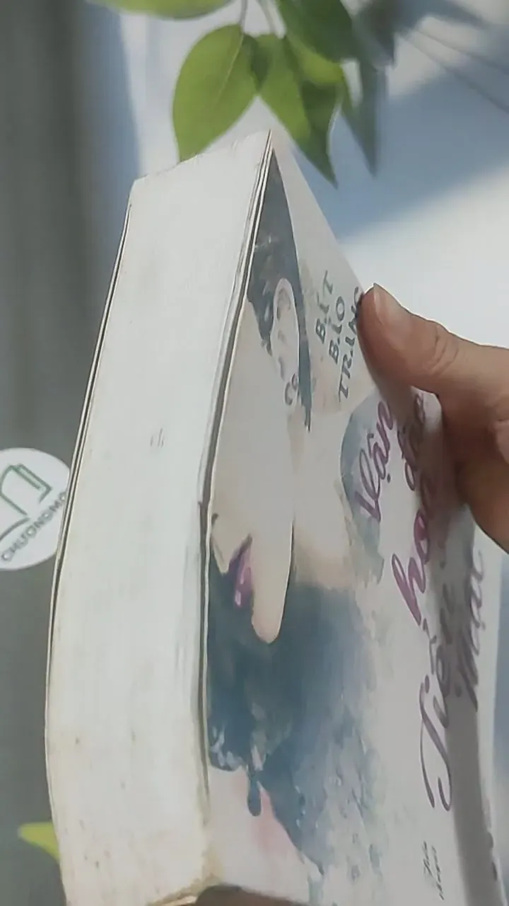 Vận đào hoa của Tiểu Mật - Bát Bảo Trang 688612