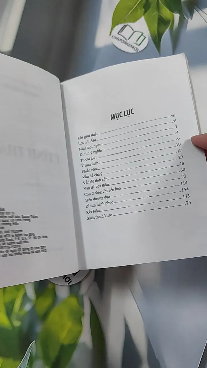 Ý Tình Thân - Thích Trí Siêu 776124