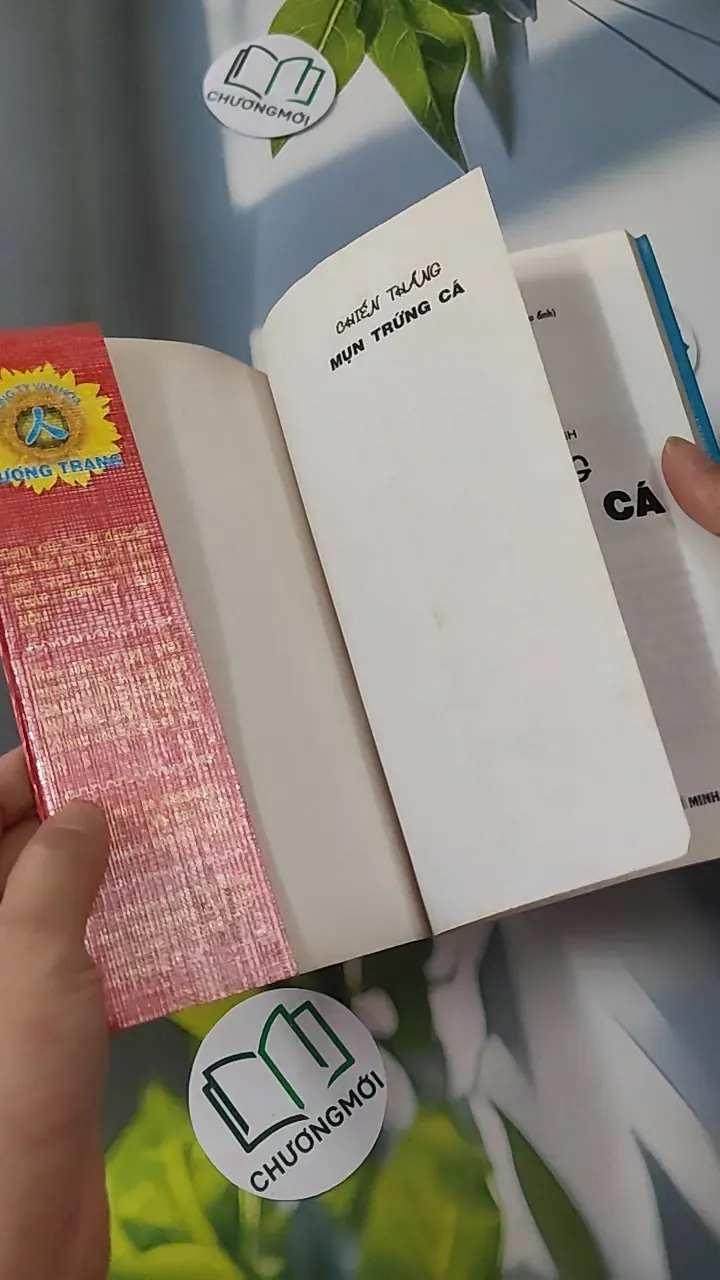 Chiến Thắng Mụn Trứng Cá - Kim Trọng 780823