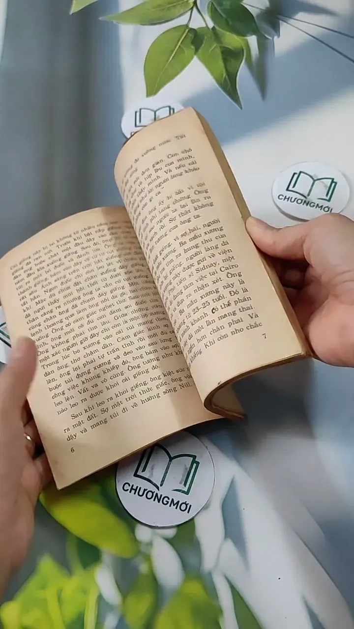 Quá Khứ Không Im Lặng - Hans Pfeiffer 713831