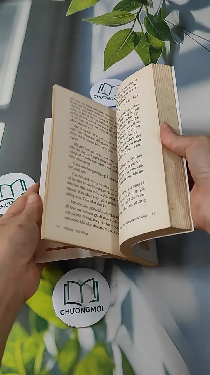 Tiêu Gì Cho Thời Gian Để Sống - Hoàng Việt Hằng 727247