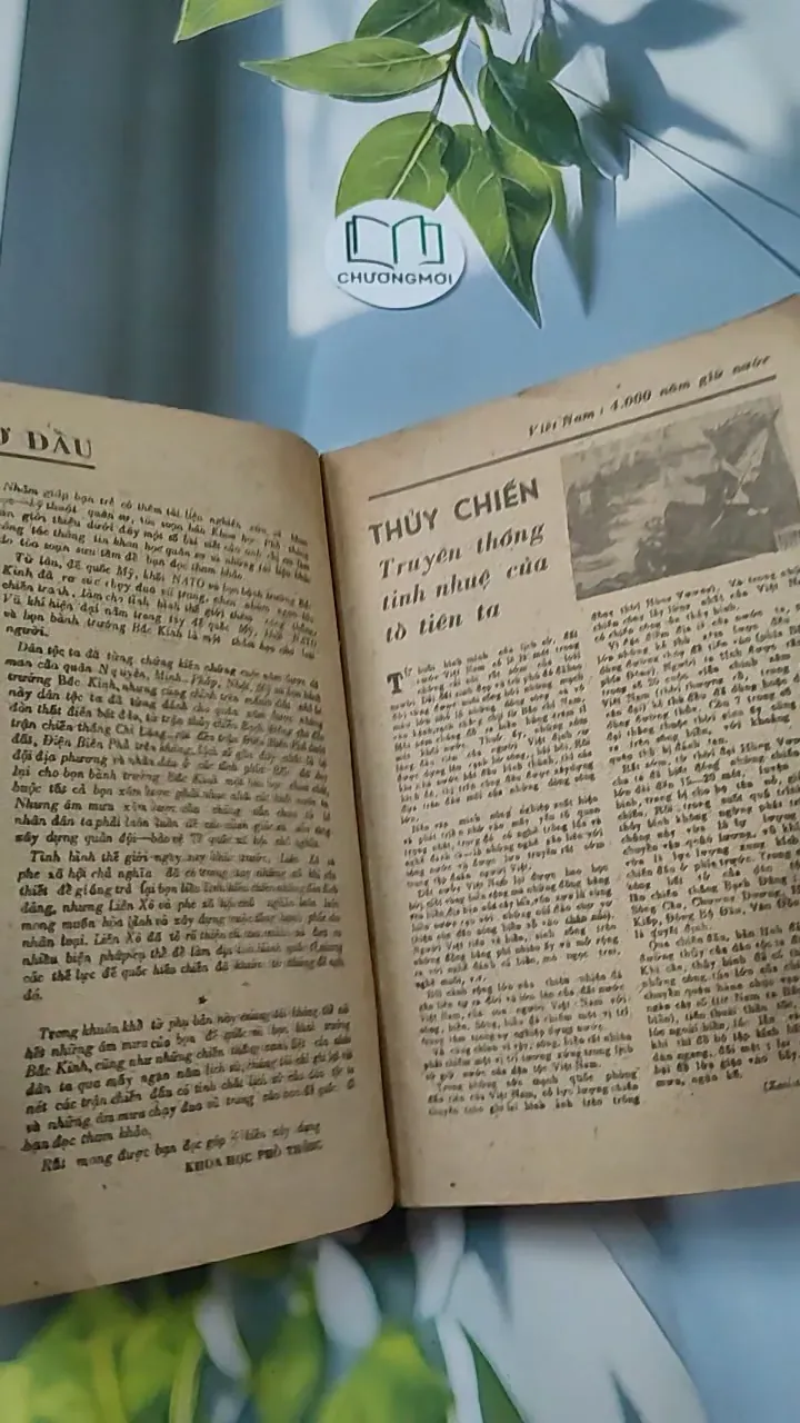 [XƯA] Tạp Chí Khoa Học Và Quân Sự - Số Tháng 8/1981 (1981) 776000