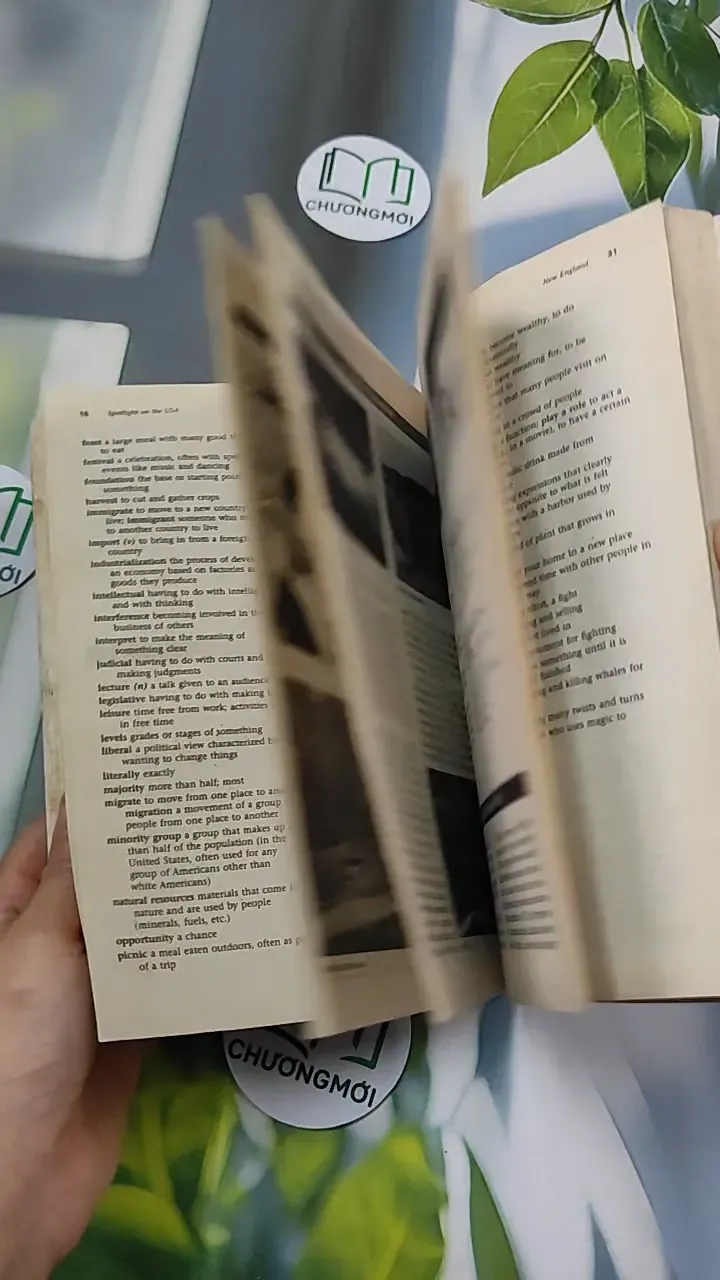 Spotlight on the USA - Randee Falk 754540