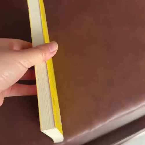 KHỞI NGHIỆP DU KÍCH – Trần Thanh Phong- K4