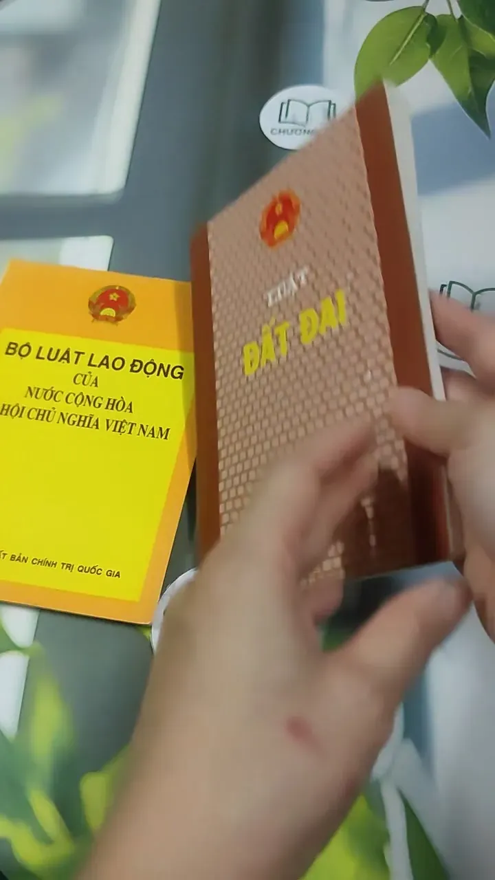 Combo: Bộ Luật Lao Động Của Nước Cộng Hòa XHCN Việt Nam, Luật Đất Đai 727363