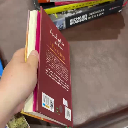 HẠNH PHÚC DO BẠN LỰA CHỌN – SEAN LIM | Sách sống tích cực –K4