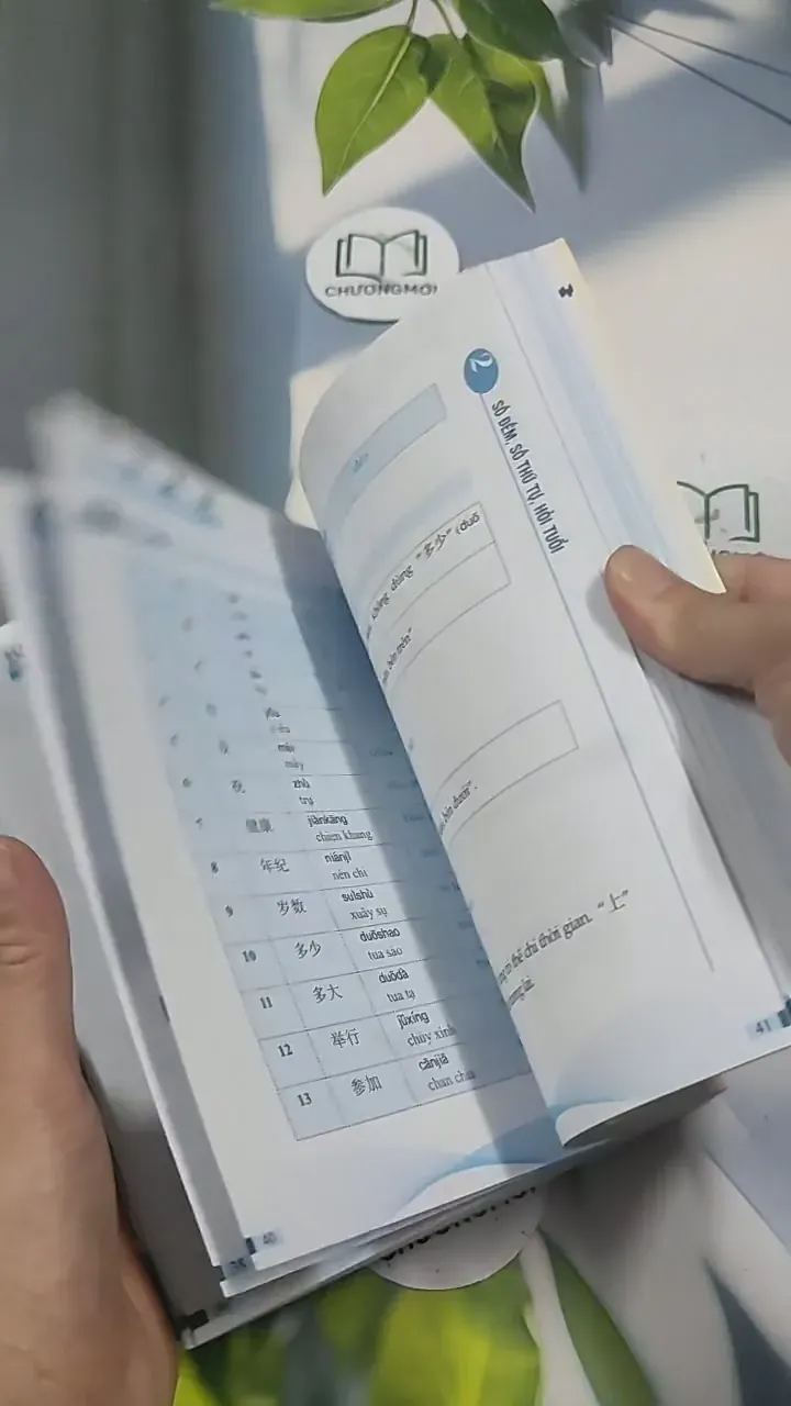 Tự Học Tiếng Trung Cho Người Mới Bắt Đầu - Thu Trang 715623