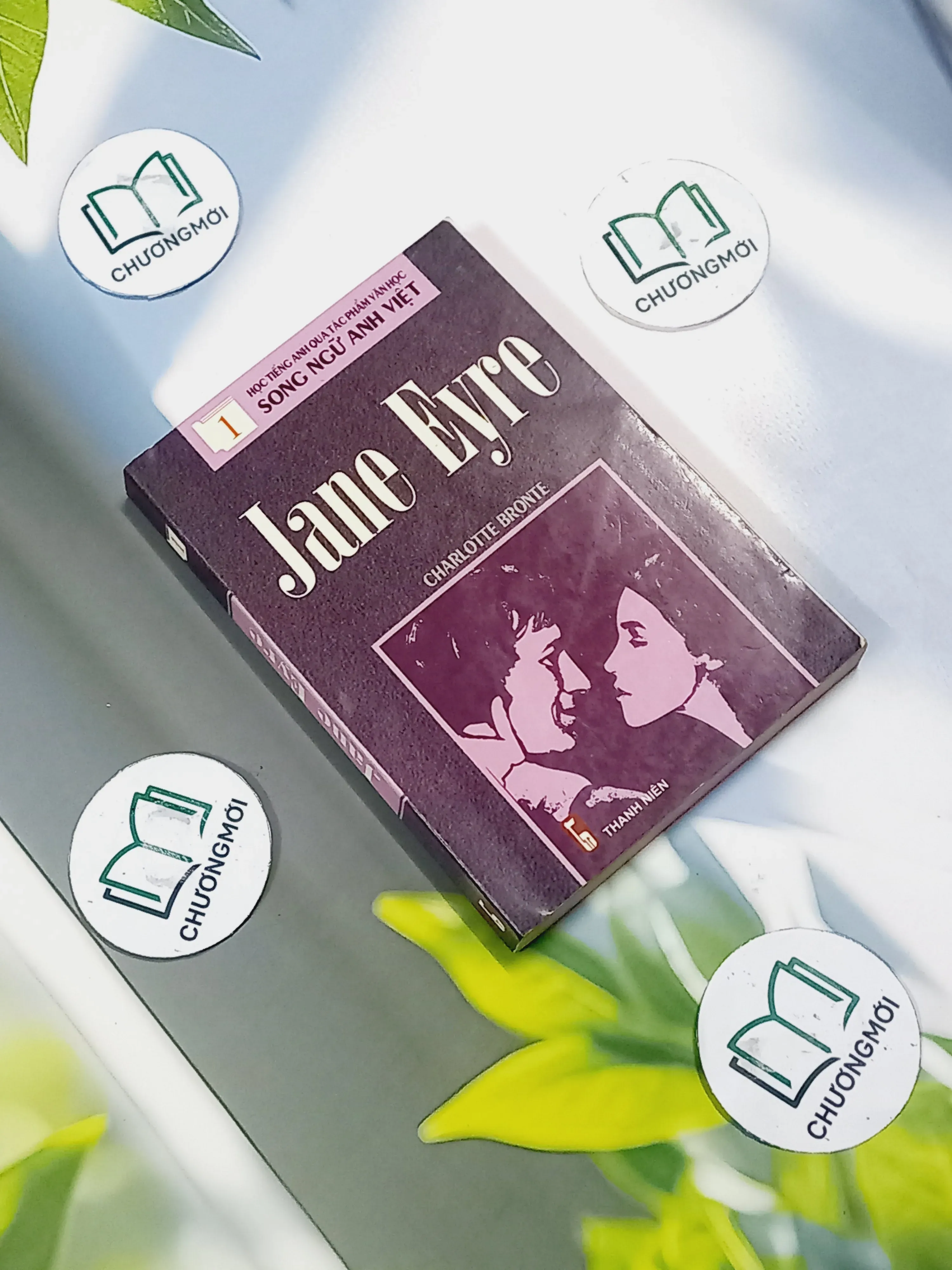 Jane Eyre - Song Ngữ Anh Việt