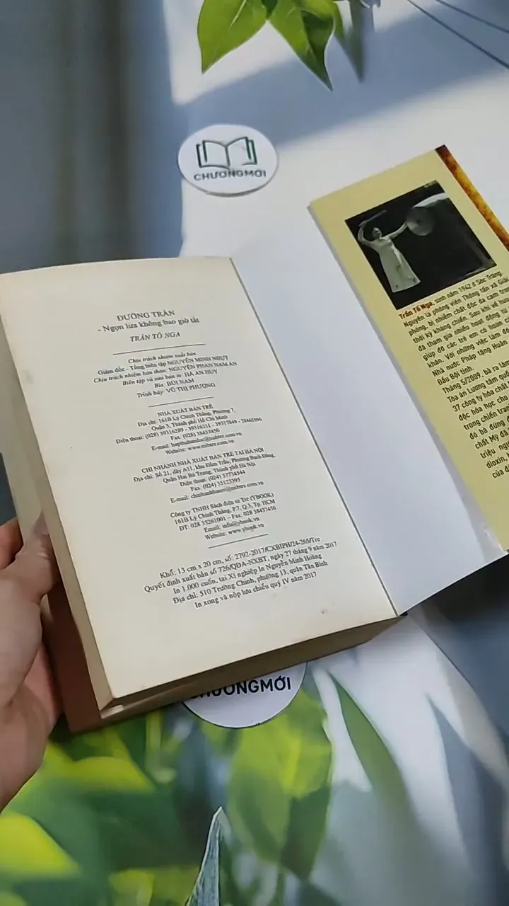 Đường Trần: Ngọn Lửa Không Bao Giờ Tắt - Trần Tố Nga 705659