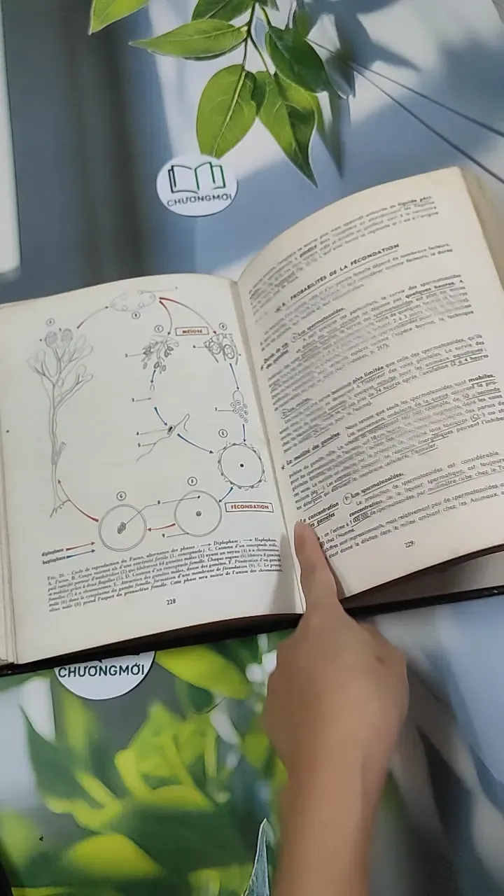 [MIỄN PHÍ BỌC SÁCH] Sciences Naturelles: Terminale D - Charles Désire 751224