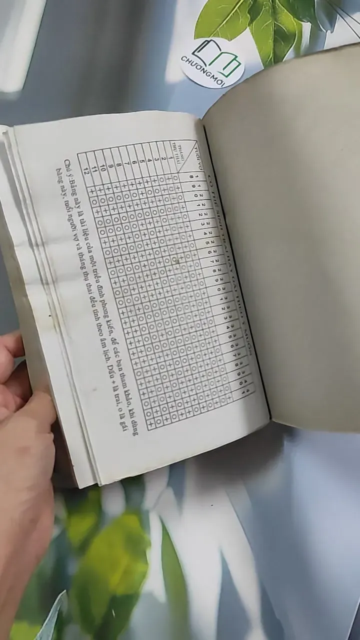 Tử Vi Tướng Pháp 776182