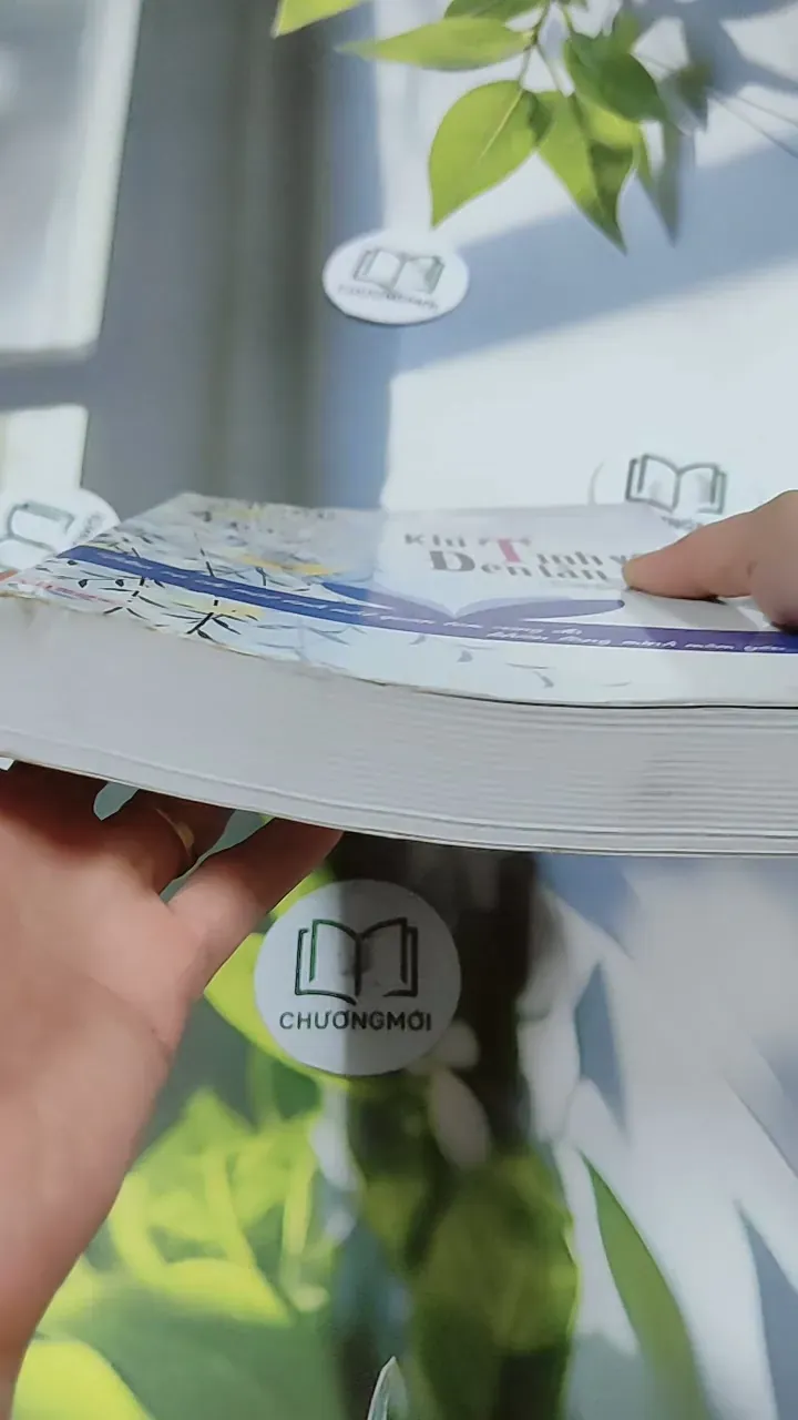 Khi Tình Yêu Đến Lần Nữa - Thanh Sam Lạc Thác 744766