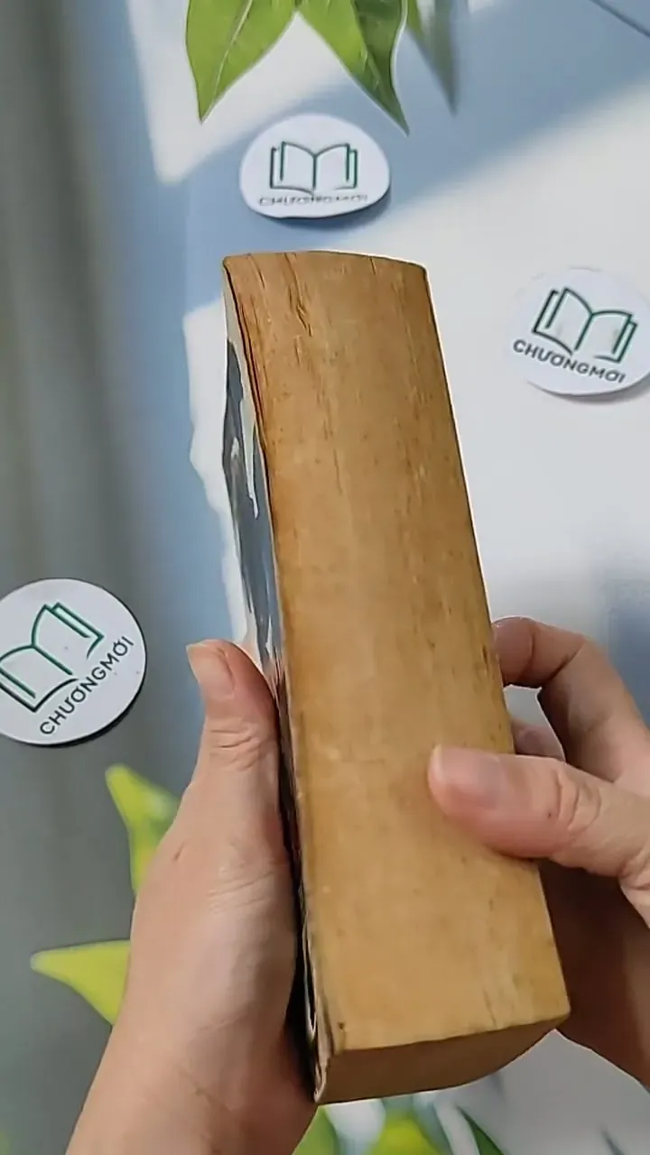 [MIỄN PHÍ BỌC SÁCH] Lord of the Silver Bow: Troy - David Gemmell 703083