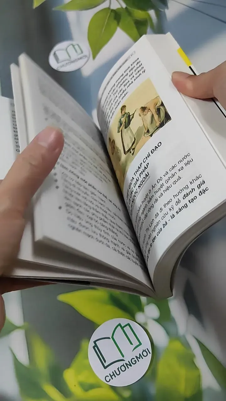 [MIỄN PHÍ BỌC SÁCH] Thập Chỉ Liên Tâm Cải Thiện Tuần Hoàn - Dư Quang Châu 780915