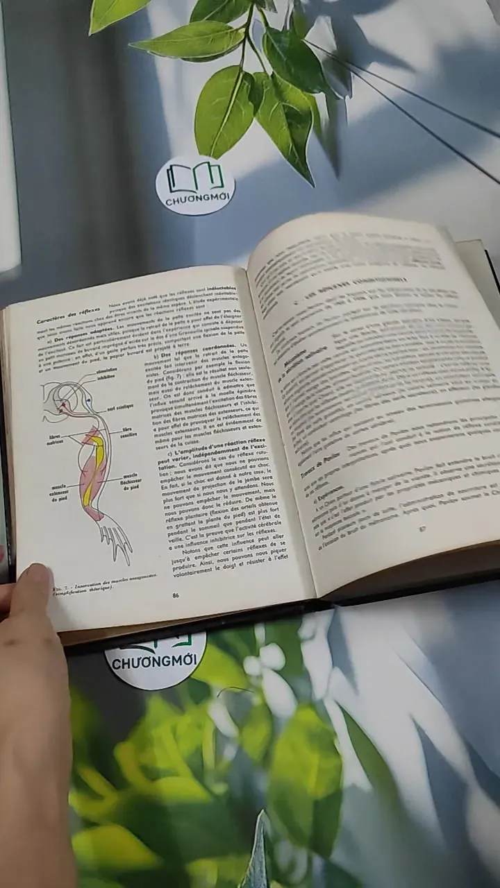 [MIỄN PHÍ BỌC SÁCH] Sciences Naturelles: Terminale D - Charles Désire 751224