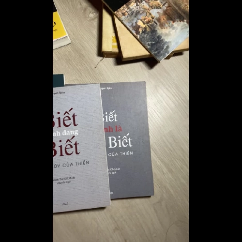 Rubert spira - Minh Tuệ Đỗ Minh 