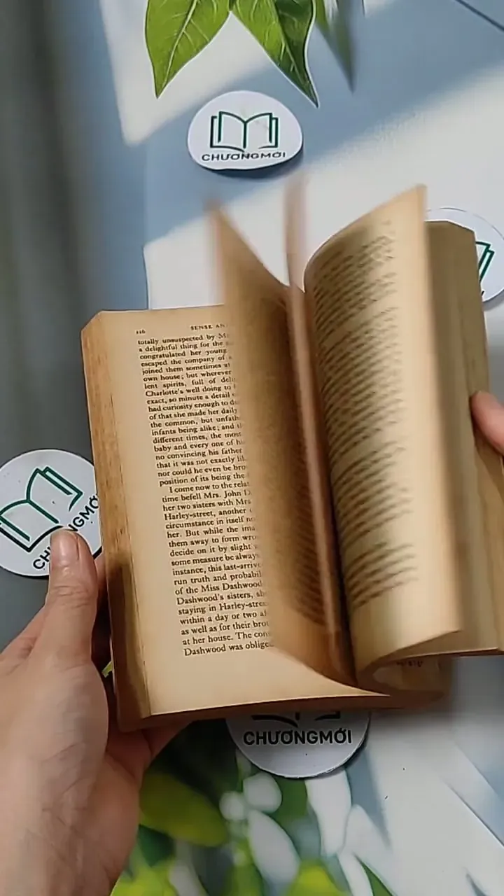 Sense and Sensibility - Jane Austen 703084