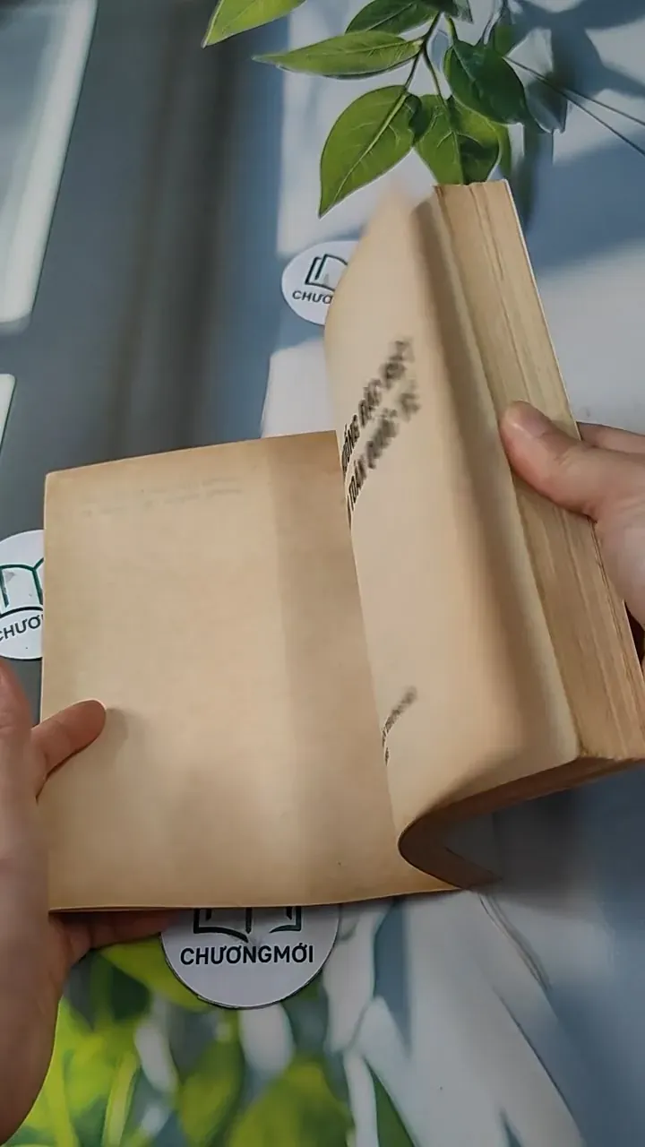 Những Tình Huống Đặc Biệt Trong Thanh Toán Quốc Tế - Nguyễn Ninh Kiều 727245