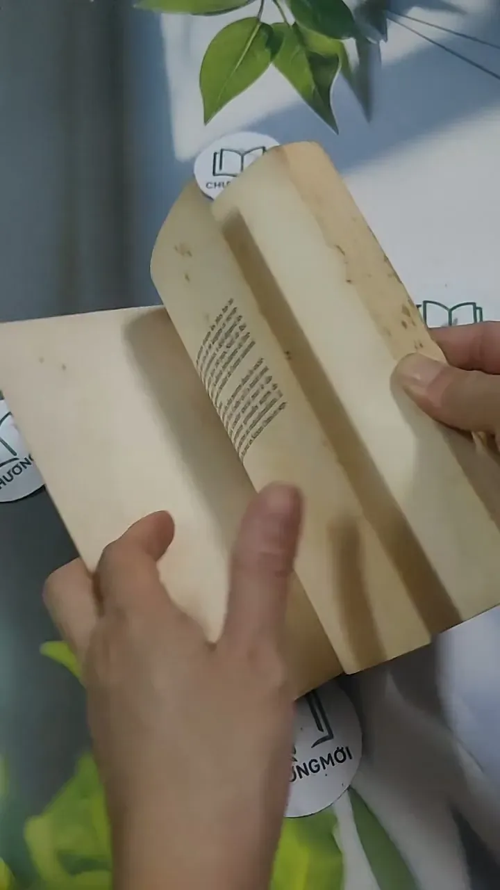 L'Alchimiste - Paulo Coelho 715635