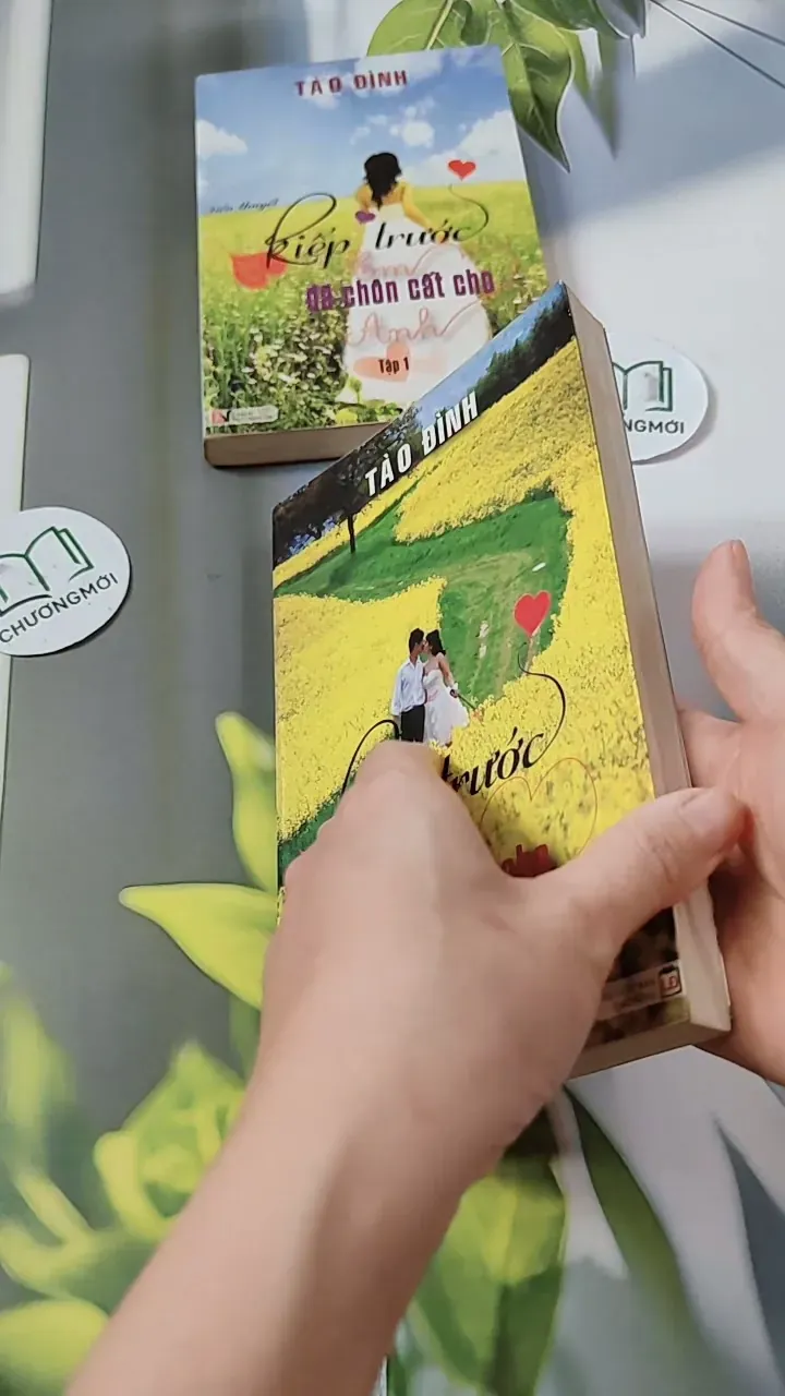 Bộ Kiếp Trước Em Đã Chôn Cất Cho Anh - Tào Đình 744693