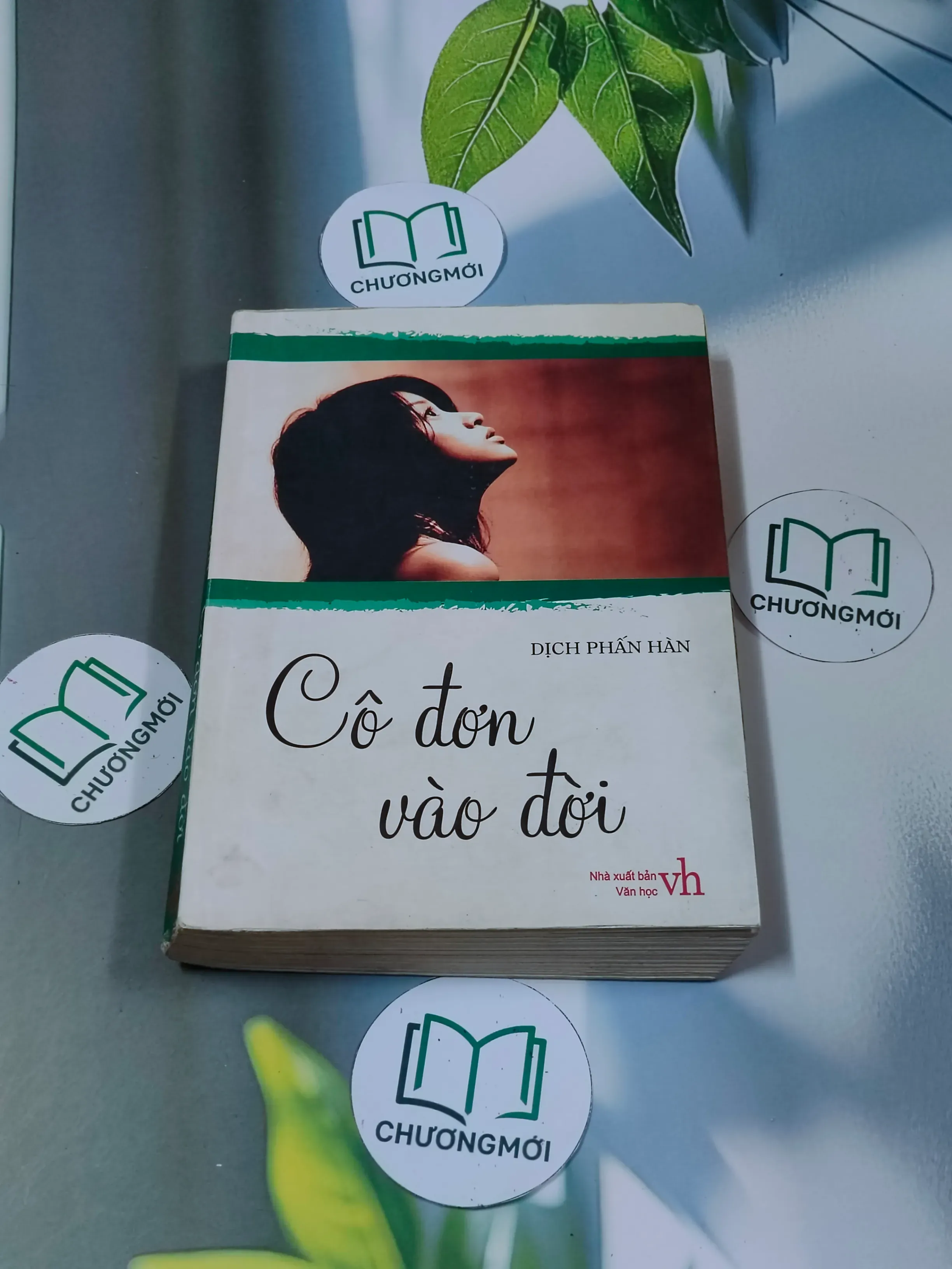 Cô đơn vào đời - Dịch Phấn Hàn