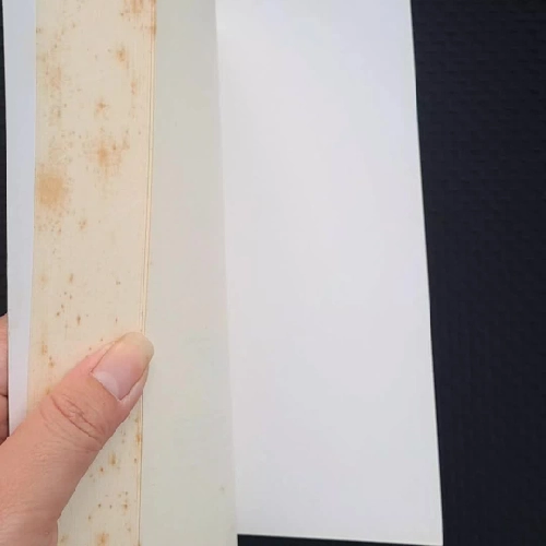 (Văn học cổ điển rút gọn) Người Cá - Aleksandr Romanovich Belyaev 430404