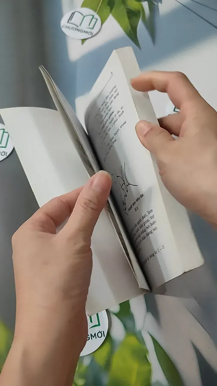 Xoa - Bấm Huyệt - Kỷ Anh & Định Công Bảy 780808