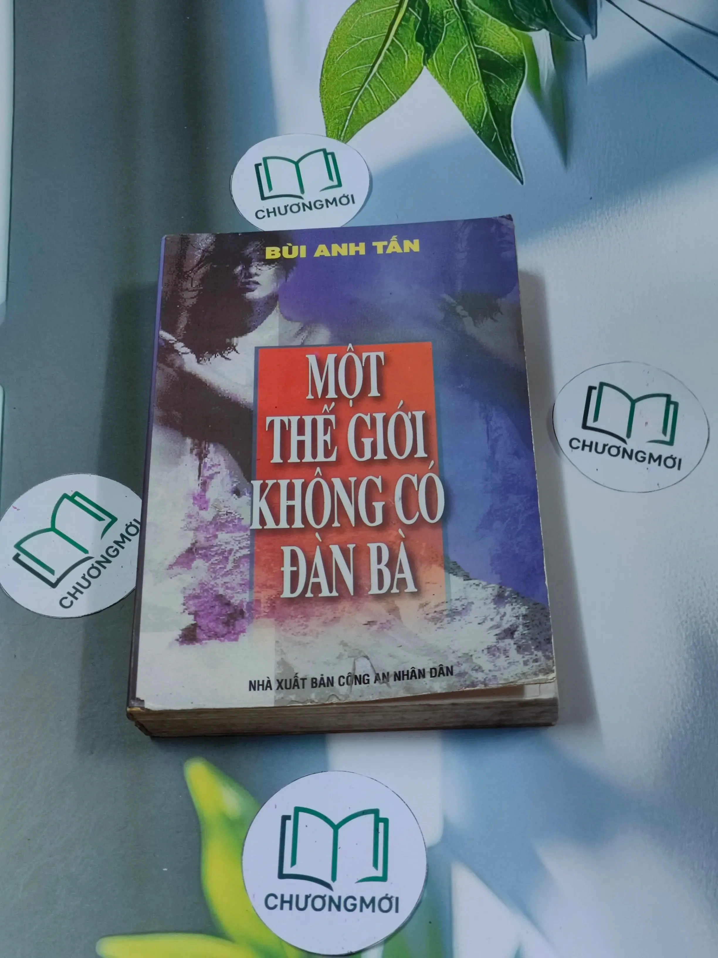 Một thế giới không có đàn bà - Bùi Anh Tấn