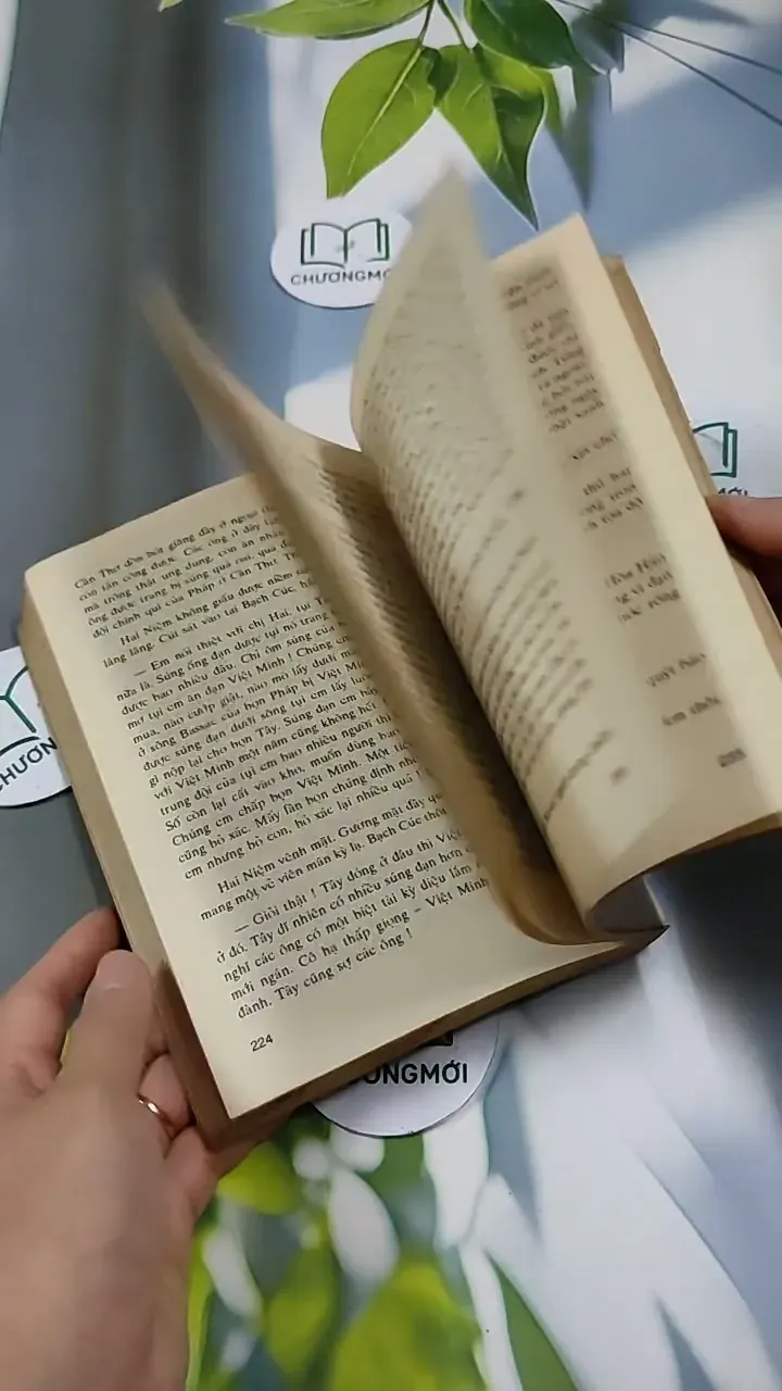 Người Đẹp Tây Đô (Tập 2) - Trầm Hương 713868