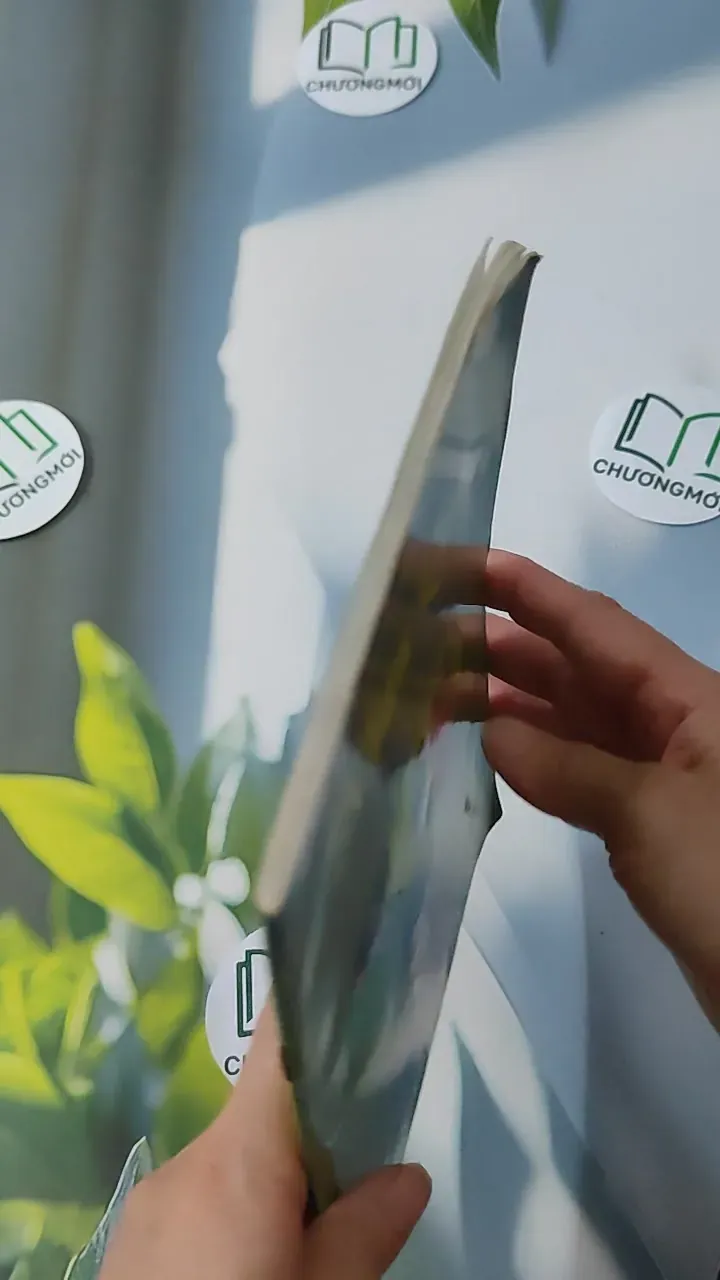 Truyện Tranh Nhân Quả Ba Đời - Thích Thiện Chơn 928567