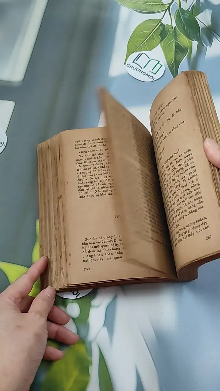 [XƯA] Jenny Ghechac 1 (1986) - Theodor Dreiser 776082