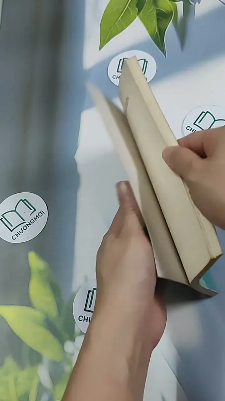 Lục Vân Tiên - Nguyễn Đình Chiểu 698634