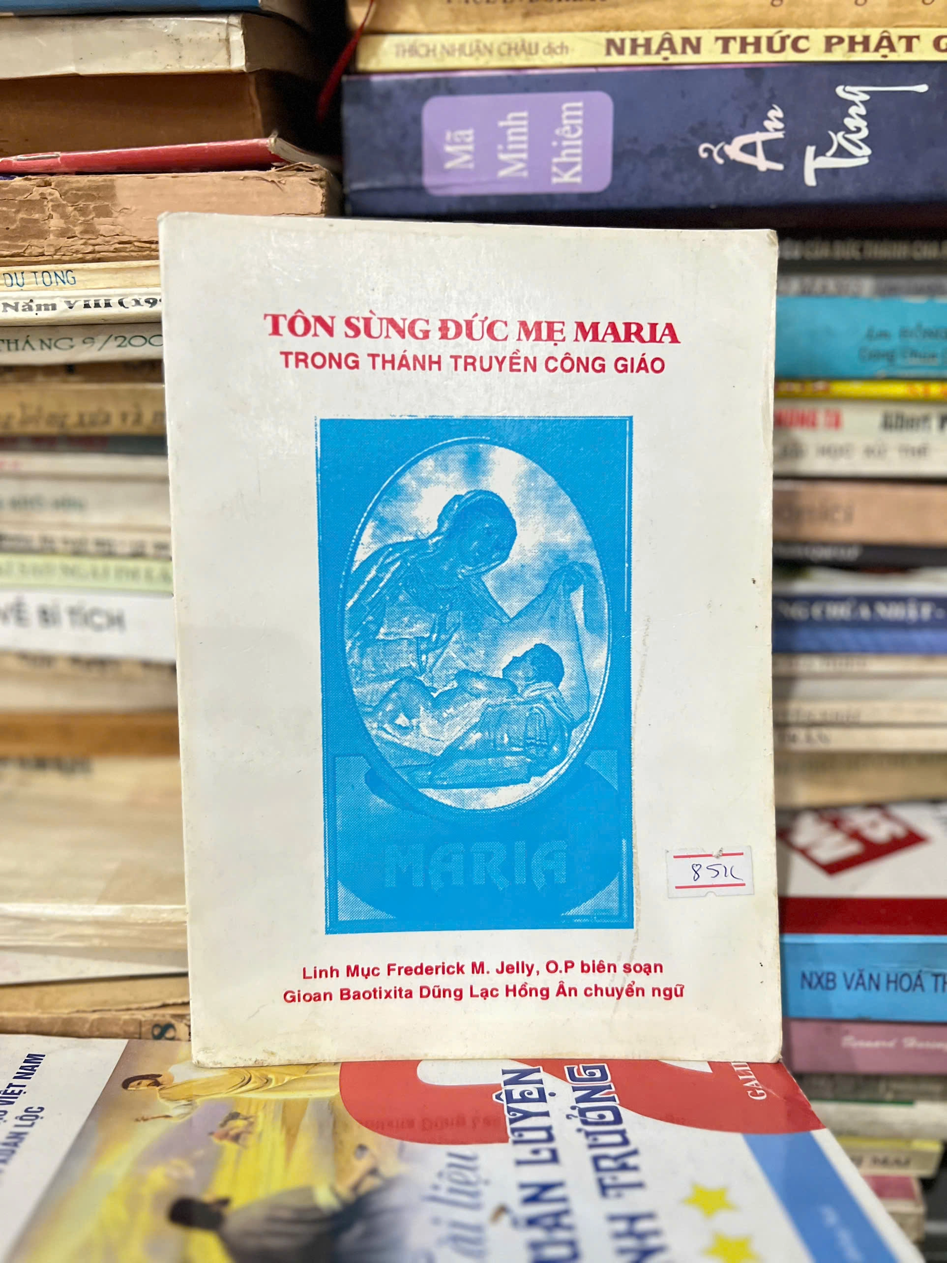 Tôn Sùng Đức Mẹ Maria Trong Thánh Truyền Công Giáo by Frederick M. Jelly - Sách Book Cover - Ngọc Hiển Books