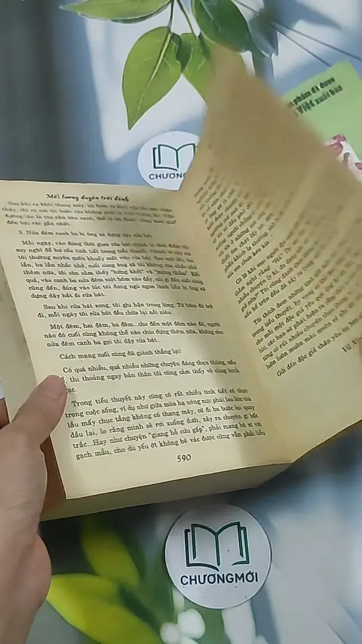 Mối lương duyên trời đánh - Hoa Thanh Thần 694961