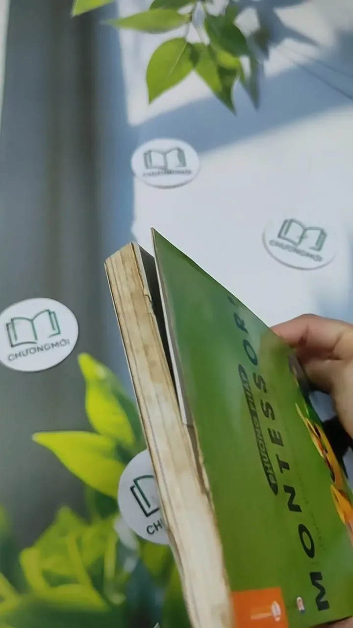 Phương Pháp Montessori - Nghệ Thuật Nuôi Dạy Trẻ Đỉnh Cao 705669