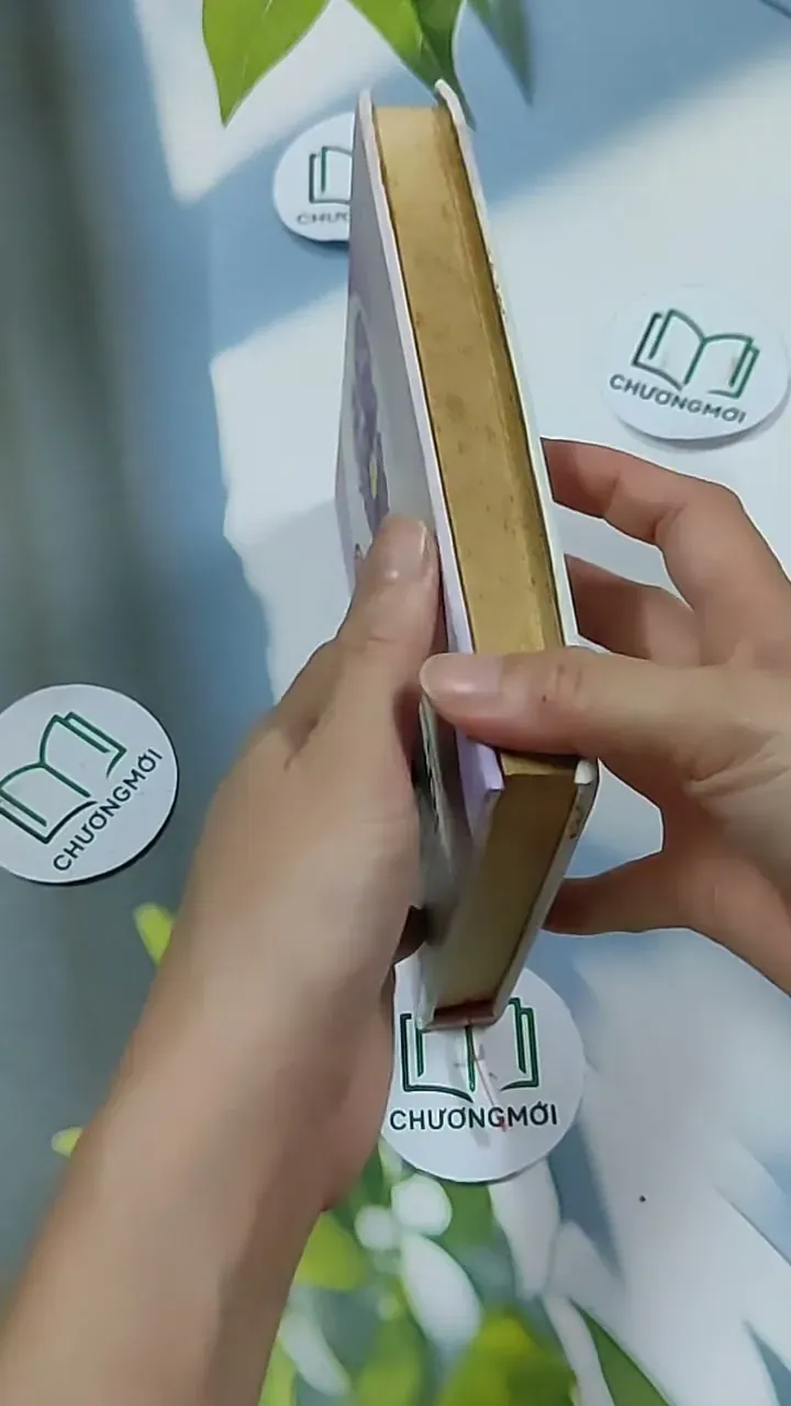 Thiếu Tướng Ế Vợ - Tuỳ Hầu Châu 703157