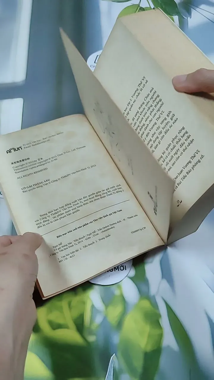 Cô Gái Tháng Sáu - Ngải Mễ 744738