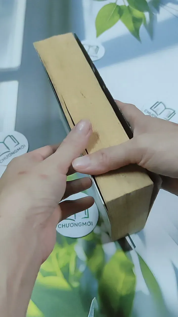 Đen Trắng - Triêu Tiểu Thành 744742