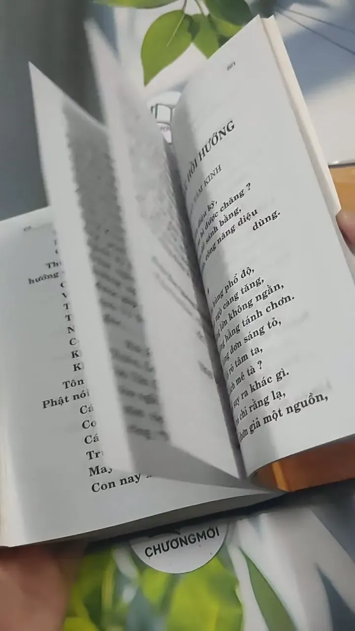 Kinh Kim Quang Minh - Ni Trưởng Như Ấn 715615