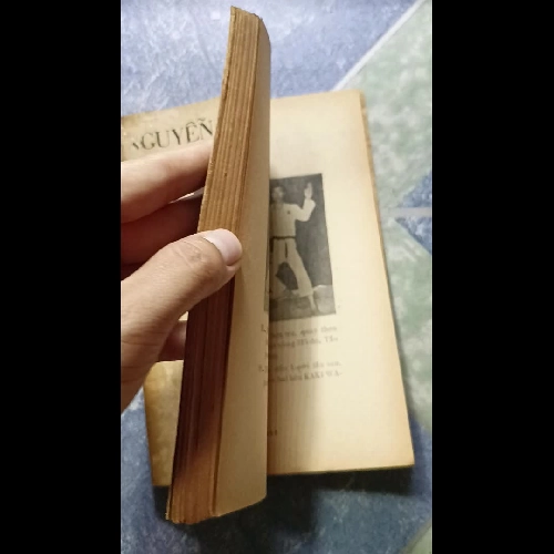 Kinh hồn không thủ đạo - Nguyễn Xuân Dũng