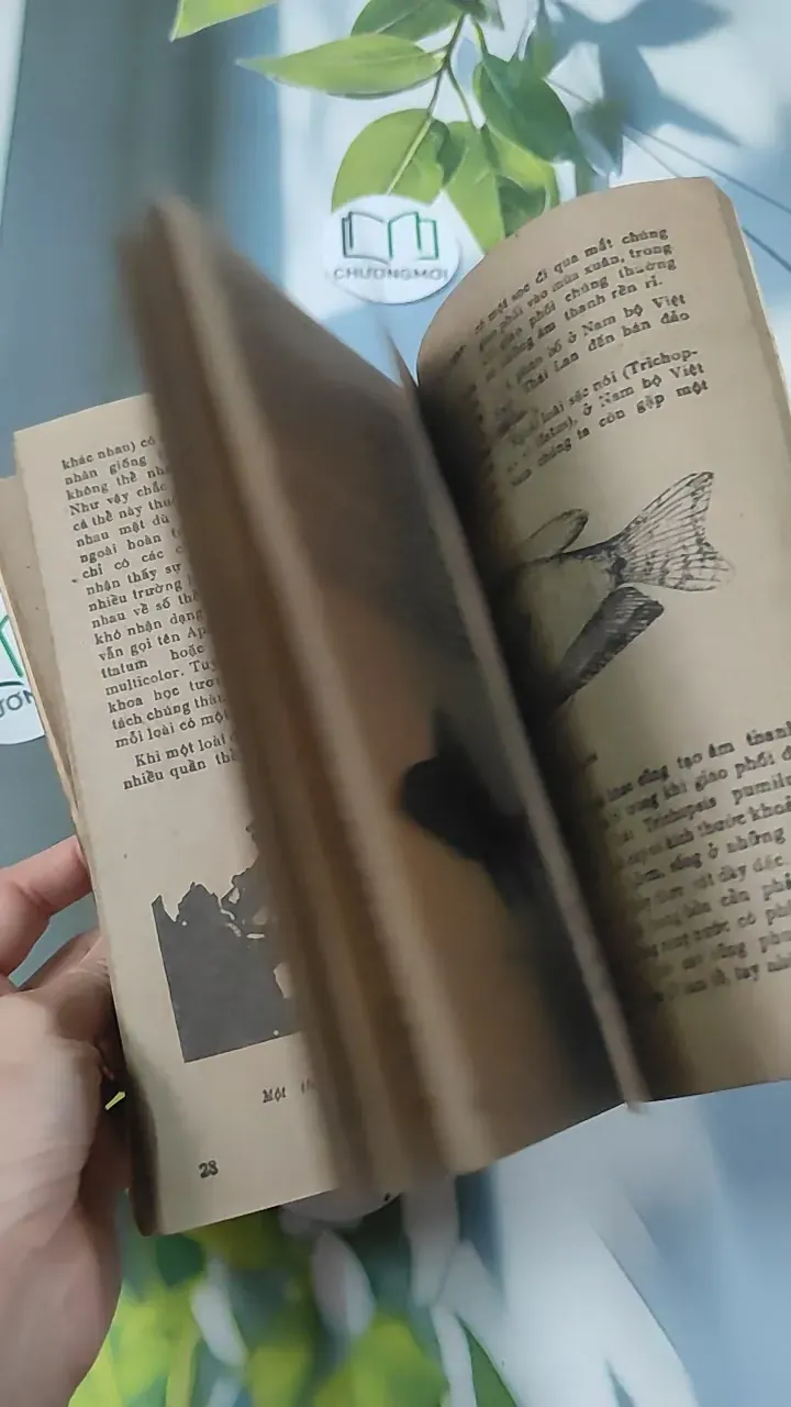 [XƯA] Tạp Chí Khoa Học - Đời Sống: Tình Đất Đỏ (1984) 775998