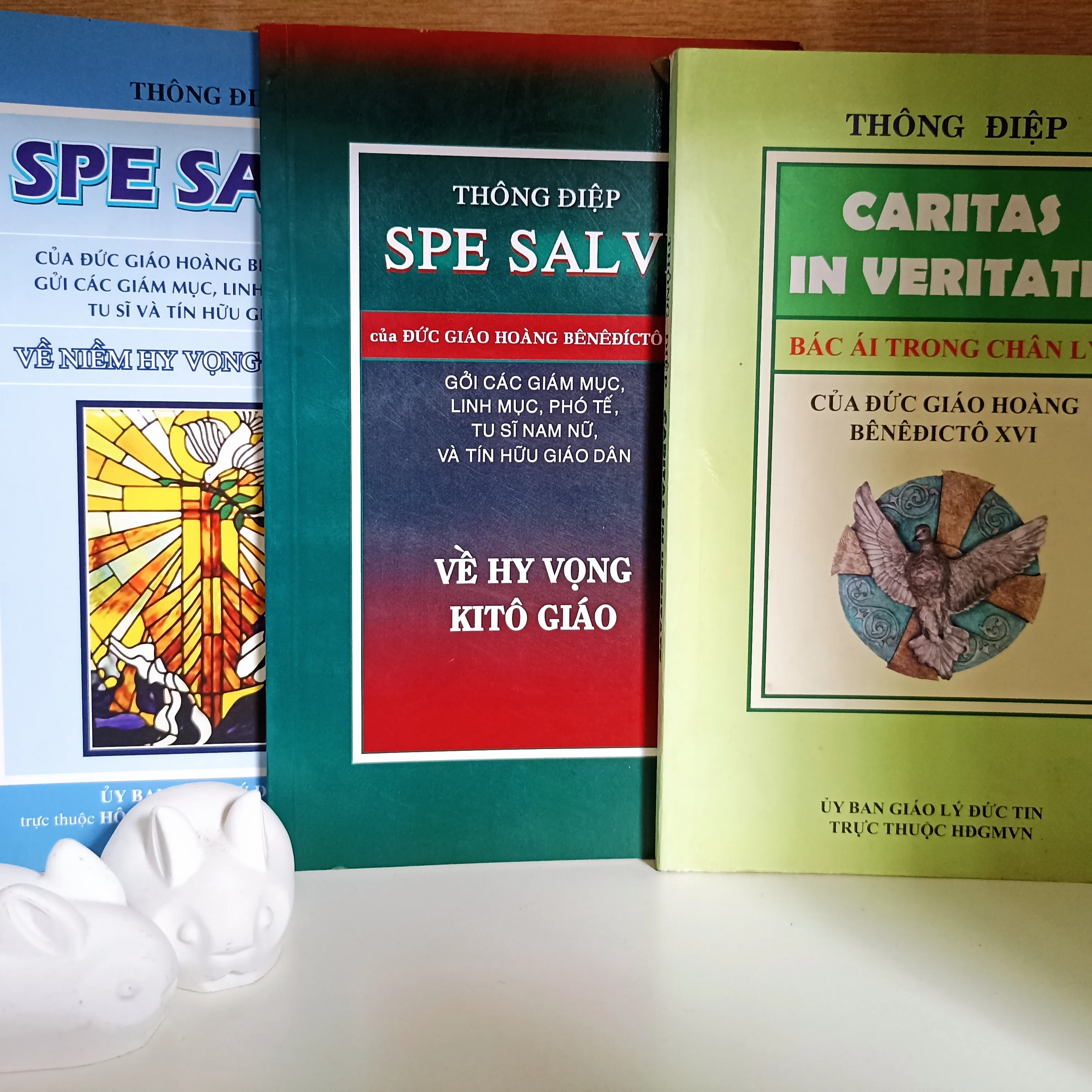 Combo 3 cuốn Thông của ĐGH Benêđíctô XVI 🌻 by  - Sách Book Cover - Ngọc Hiển Books