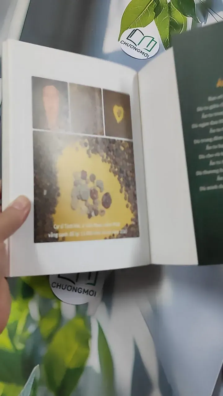 Việc Lớn Nhất Đời Người - Cư Sĩ Diệu Âm Diệu Ngộ 776134