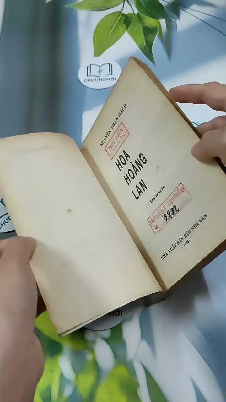 Hoa Hoàng Lan - Nguyễn Phan Hách 713866