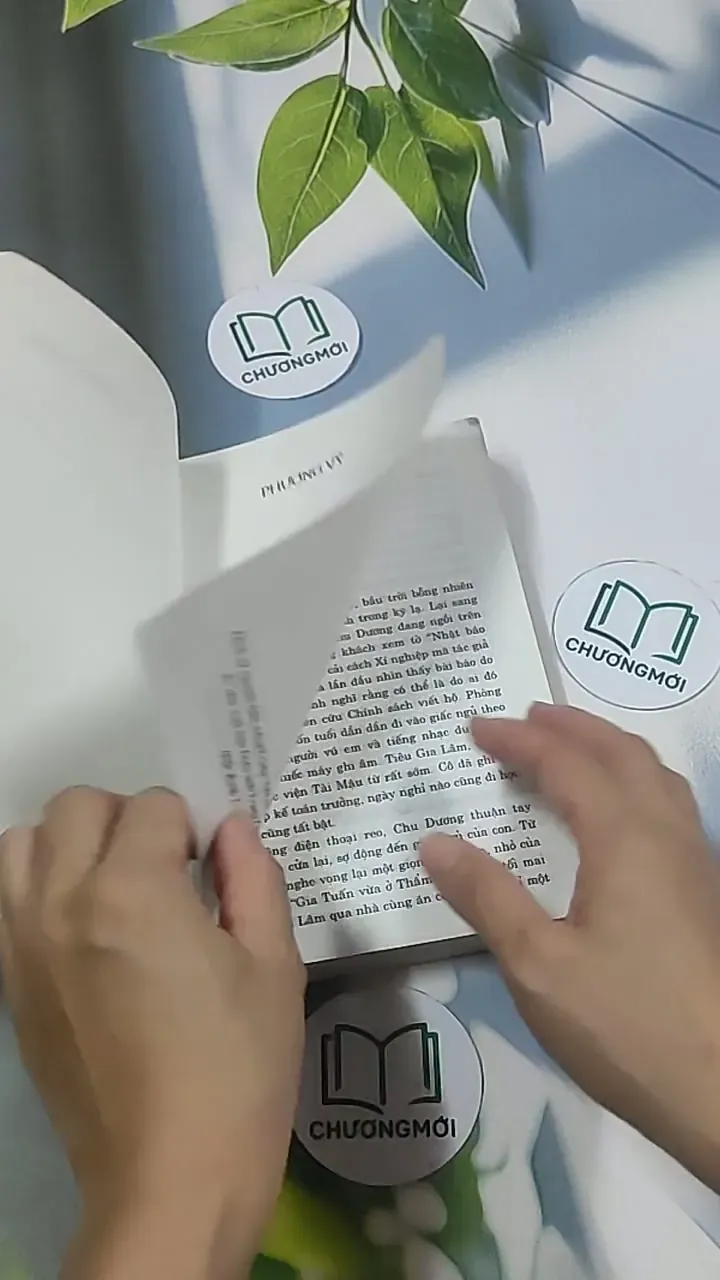 Con rể tỉnh trưởng - Phương Vỹ 695009