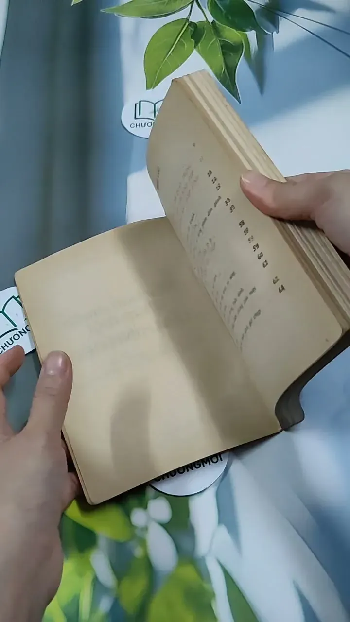 Nếu Bạn Muốn Chụp Một Tấm Hình Đẹp - Ninh Hùng 713856