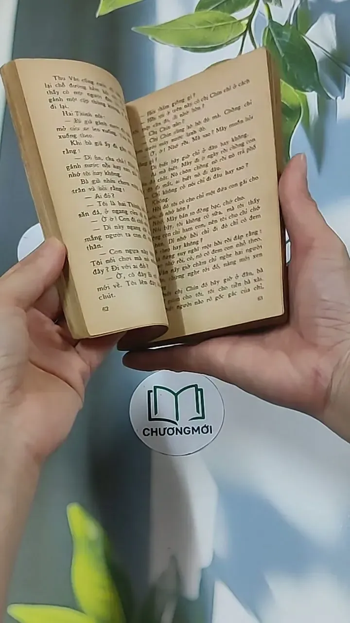 Chút Phận Linh Đinh (1996) - Hồ Biểu Chánh 674979