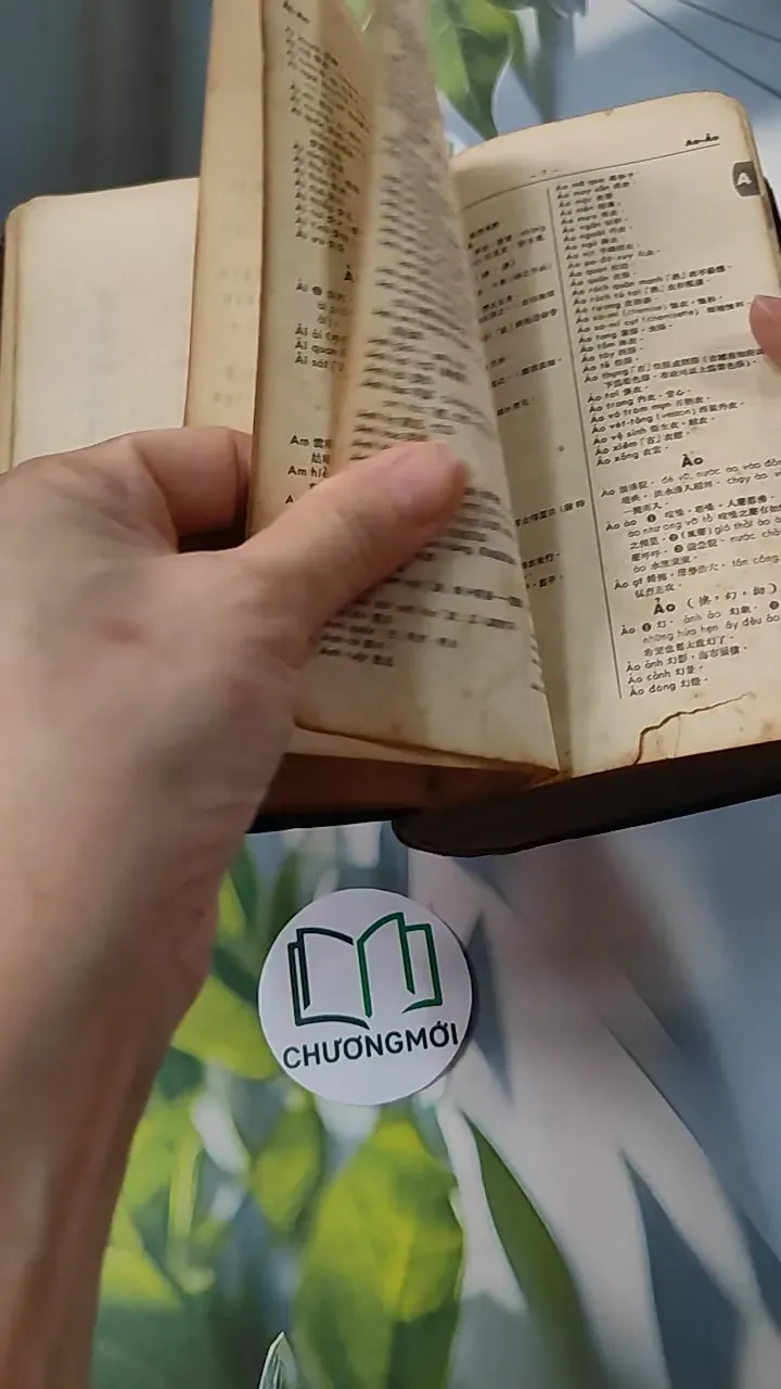 [MIỄN PHÍ BỌC SÁCH] Từ Điển Việt Hán Tối Tân 749553