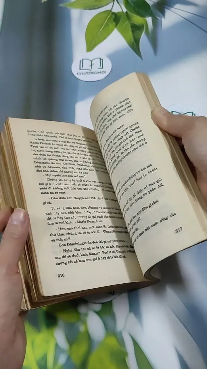 TêRêDa - G. AMaĐô 713871